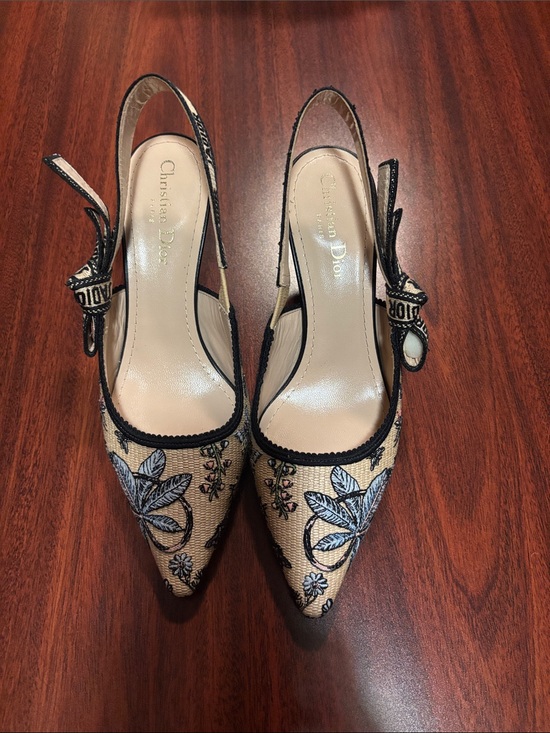 Dior Shoes - Dior Beige Embroidered Pointed Slingback Heels with Blue Floral Detail